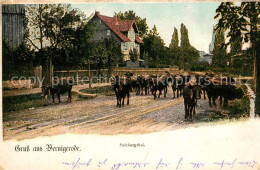 73546920 Wernigerode Harz Salzbergtal Wernigerode Harz - Wernigerode