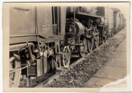 FOTOGRAFIA - FERROVIA - TRENI A VAPORE - Formato Cm. 12,5 X 9 Circa - Vedi Retro - Eisenbahnen