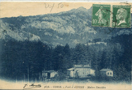 -2A - CORSE  -  Foret D'AITONE - Maison. Forestiere - Autres & Non Classés