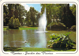 44 - Nantes - Jardin Des Plantes - Nantes