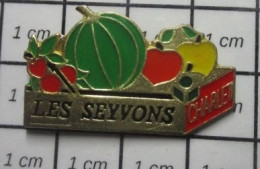 713B Pin's Pins / Beau Et Rare / ALIMENTATION / CAGETTE DE FRUITS POMME TOMATE MELON CHARLET LES SEYVONS - Alimentación