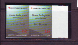 Croatia 1996 Charity Stamp Mi.No.87 RED CROSS TBC Imperforated Pair MNH - Croatie