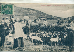 -CORSE  -  Types   Corses  -Benediction  Des  Moutons -    Collection L.Cardinali - Allevamenti