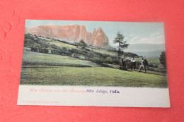 Bolzano Bozen Sciliar Schern Ed. Lehrburger Animata Primi 1900 NV - Bolzano (Bozen)