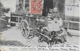 Cpa -BRUXELLES-Belgique-Laitière Flamande-avec Attelages Gros Plan-écrite Voyagée 1905 -dos Non Divisé- - Old Professions