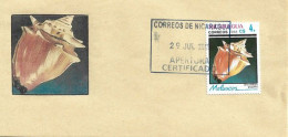 La Conque Combattante Des Antilles,escargot De Mer Du Nicaragua, Sur Lettre Nicaragua - Muscheln