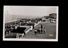 Luc Sur Mer La Plage Et Les Cabines - Luc Sur Mer