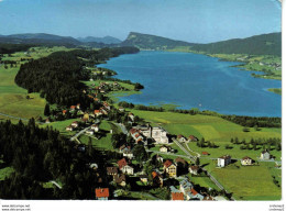 Vaud Le SENTIER Lac De Joux Et Dent De Vaulion N°12991 - Vaulion