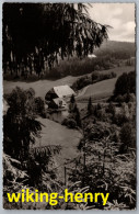 Hinterzarten - S/w Morgenstimmung Am Keßlerhof - Hinterzarten