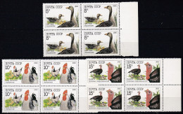 RU162– URSS - USSR – 1990 – FAUNA / POULTRY – Y&T # 5764/6 MNH 5,20 € - Neufs