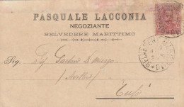 Italy. A209. Belvedere Marittimo. 1897. Cartolina Postale PUBBLICITARIA ... PASQUALE LACCONIA... Annullo Grande Cerchio - Marcofilie