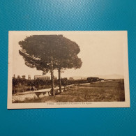 Cartolina Roma - Acquedotto Di Claudio E Via Appia. Viaggiata 1926 - Autres & Non Classés