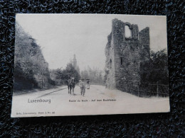 Luxembourg, Route Du Bock - Auf Dem Bockfelsen, Cheval (Y20) - Luxembourg - Ville