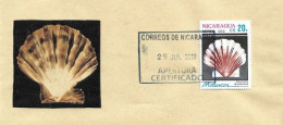 Le Pectens Laqueatus , Du Nicaragua, Sur Lettre Nicaragua - Coquillages