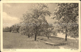 11742360 Heiden AR Appenzeller Fruehling Baumbluete Heiden - Otros & Sin Clasificación