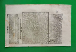 ST-BE BRUGES & ARRAS 1592 Sebastian Münster Cosmographia Universalis - Prenten & Gravure
