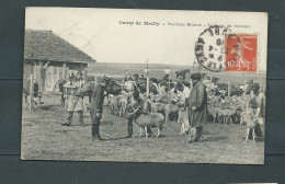 Camp De Mailly - Boucherie Militaire - Reception Des Animaux  - Mab 5964 - Casernas