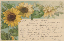 Pioneer Card Art Nouveau Sunflower Fleur De Tournesol Meissner And Buch - Avant 1900