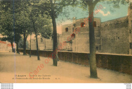 49.  ANGERS .  Entrée Du Château Et Promenade Du Bout Du Monde . - Angers