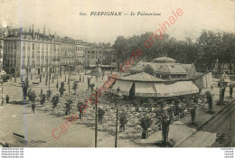 66.  PERPIGNAN .  Le Palmarium . - Perpignan