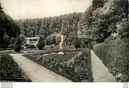 36.  CAHTEAUROUX .  La Roseraie Du Jardin Public . - Chateauroux