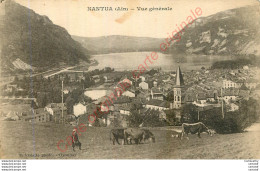 01.  NANTUA .  Vue Générale . - Nantua