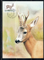 SWEDEN SVERIGE SVEZIA SUEDE 1992 2009 WILD FAUNA ANIMALS CAPREOLUS 2.80k MAXI MAXIMUM CARD CARTE - Tarjetas – Máxima