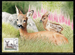 SWEDEN SVERIGE SVEZIA SUEDE 1992 2009 WILD FAUNA ANIMALS CAPREOLUS 2.80k MAXI MAXIMUM CARD CARTE - Cartes-maximum (CM)