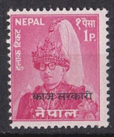 Asie  - Népal  -   Y&T  Service  N ° 13  Neuf ** - Nepal