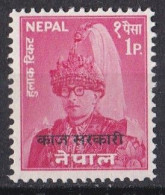 Asie  - Népal  -   Y&T  Service  N ° 13  Neuf ** - Népal