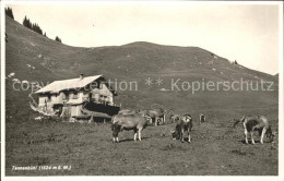 11739294 Beckenried Touristenhaus Tannenbuehl Beckenried - Andere & Zonder Classificatie