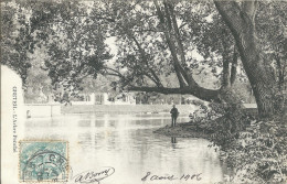 Créteil (94) - L'Arbre Penché - Creteil