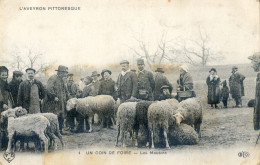 12 - L'Aveyron Pittoresque - Un Coin De Foire - Les Moutons ? - Autres & Non Classés