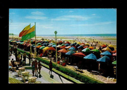 Deauville Les Planches , Parasols - Deauville