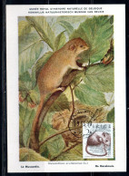 SWEDEN SVERIGE SVEZIA SUEDE 1985 1990 NATURAL MUSEUM FAUNA ANIMALS  MUSCARDINUS 2k MAXI MAXIMUM CARD CARTE - Maximum Cards & Covers