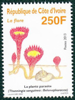 Cote D'Ivoire,2013-  La Flore- 250F. New NH - Côte D'Ivoire (1960-...)