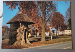 Gérouville. Orme Planté En 1258 Dénommé Le Vieux Tilleul - Autres & Non Classés