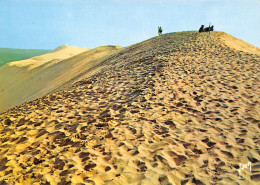 33 ARCACHON  La Teste-de-Buch DUNE DU PILAT Pyla  25 (scan Recto Verso)MG2801 - Arcachon