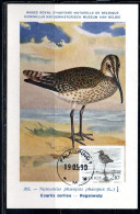 SWEDEN SVERIGE SVEZIA SUEDE 1986 NATURAL MUSEUM BIRD FAUNA WATERBIRDS SMASPOV 2.10k MAXI MAXIMUM CARD CARTE - Cartes-maximum (CM)