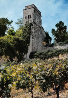 SAINT EMILION  La Tour Du Guetteur  31 (scan Recto Verso)MG2803 - Saint-Emilion