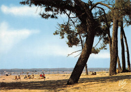 ANDERNOS LES BAINS  La Belle Plage Du MAURET  5 (scan Recto Verso)MG2810 - Andernos-les-Bains