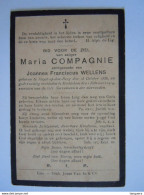 Doodsprentje Maria Compagnie Heyst-op-den-Berg 1856 Emblehem 1914 Echtg  Joannes Franciscus Wellens - Devotion Images