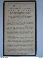 Doodsprentje Rosalia Dielens Kessel 1863 - 1936 Lid Congregatie O.L. Vrouw - Devotieprenten