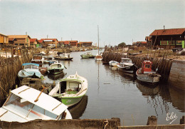 33 GUJAN MESTRAS  Le Port De Gujan Bassin D ARCACHON  8 (scan Recto Verso)MG2814 - Arcachon