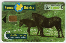 Espagne 1000 PTA Fauna Iberica Caballo Losino 01/97 1.000.000 Exemplaires Vide Cheval - Basisausgaben