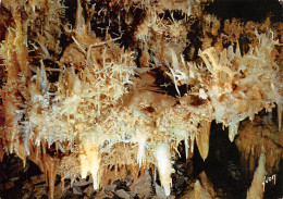 LES EYZIES La Grotte Du Grand Roc A Laugerie Basse  Le Banc De Corail    12 (scan Recto Verso)MG2831 - Altri & Non Classificati