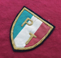 Scudetto Tricolore Lettere PT Ricamato A Mano Stupendo Ampie Dimensioni - Otros & Sin Clasificación