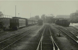 MoselbahnTrier - Trains