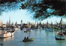 ILE D OLERON Le Port De La Cotinière    35 (scan Recto Verso)MG2839 - Ile D'Oléron