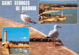 SAINT GEORGES DE DIDONNE  VUES DIVERSES  30 (scan Recto Verso)MG2842 - Saint-Georges-de-Didonne